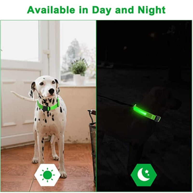 a1.Glowing Dog Collar